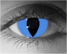  contact lenses