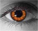  contact lenses