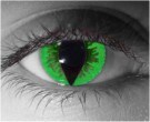  contact lenses