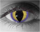  contact lenses