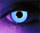  contact lenses