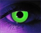  contact lenses