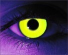  contact lenses