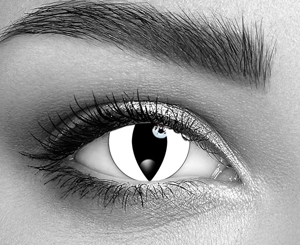  contact lenses