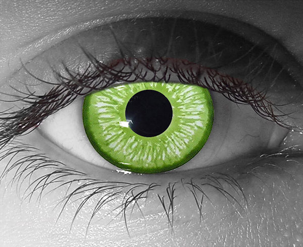  contact lenses