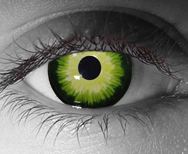  contact lenses