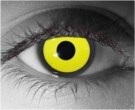  contact lenses