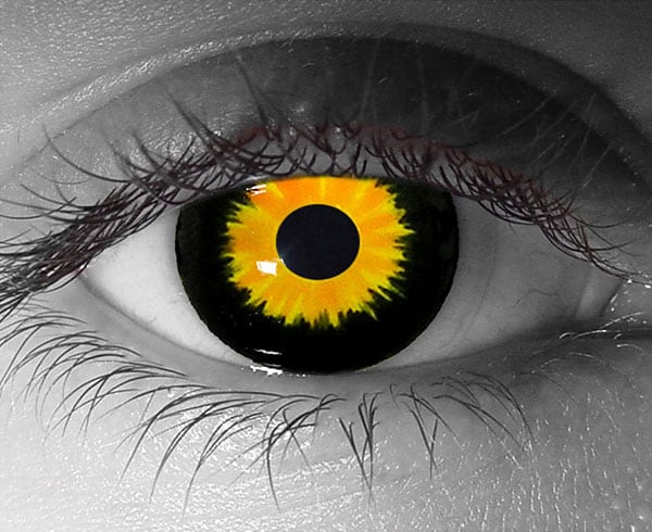 contact lenses