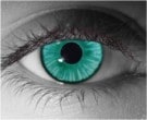  contact lenses
