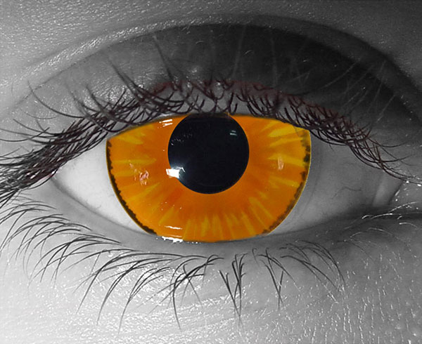  contact lenses