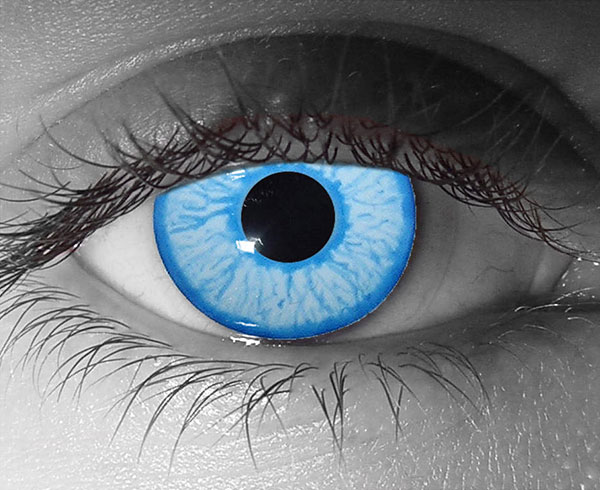  contact lenses