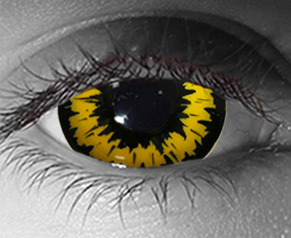  contact lenses