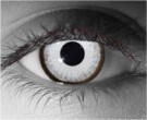 contact lenses