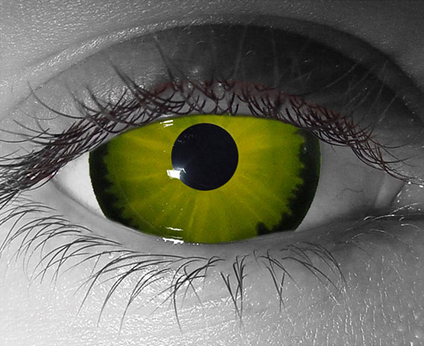  contact lenses
