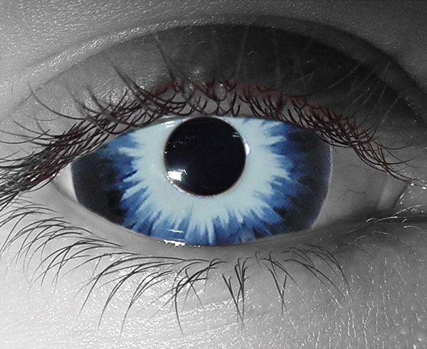  contact lenses