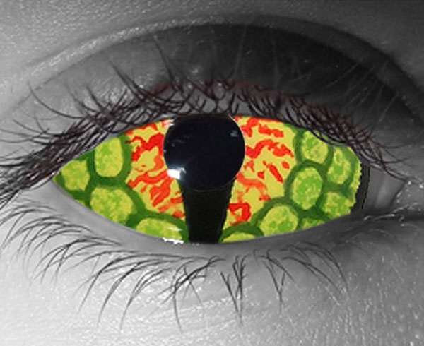  contact lenses