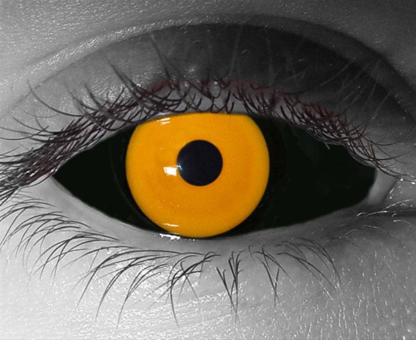  contact lenses