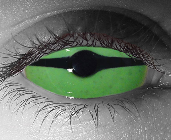  contact lenses