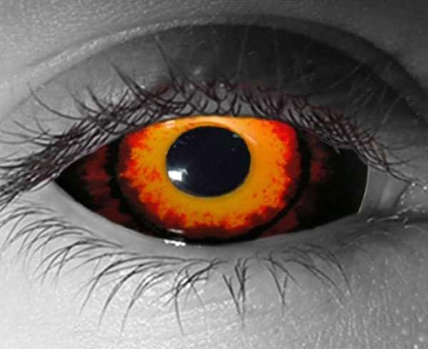  contact lenses